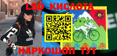 прущие крисы Кунгур