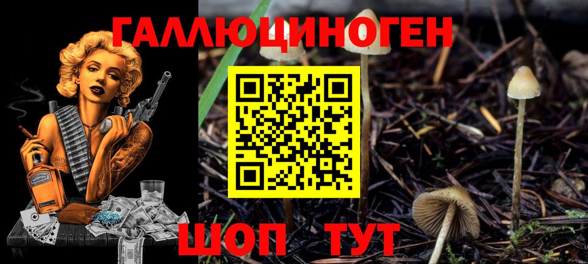 Псилоцибиновые грибы Psilocybine cubensis  Псилоцибиновые грибы MAGIC MUSHROOMS  Ижевск  Вход с VPN 